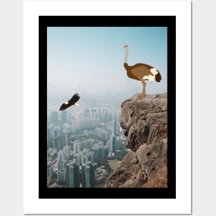 Ostrich standing on Cliff Posters and Art